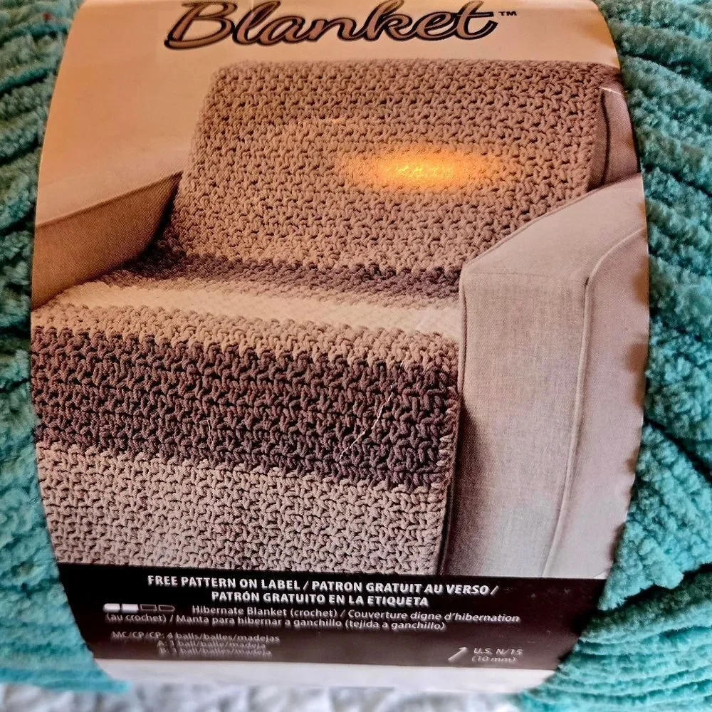 Bernat Blanket Yarn - Gray Blue & Light Teal 10.5 Ounces Each